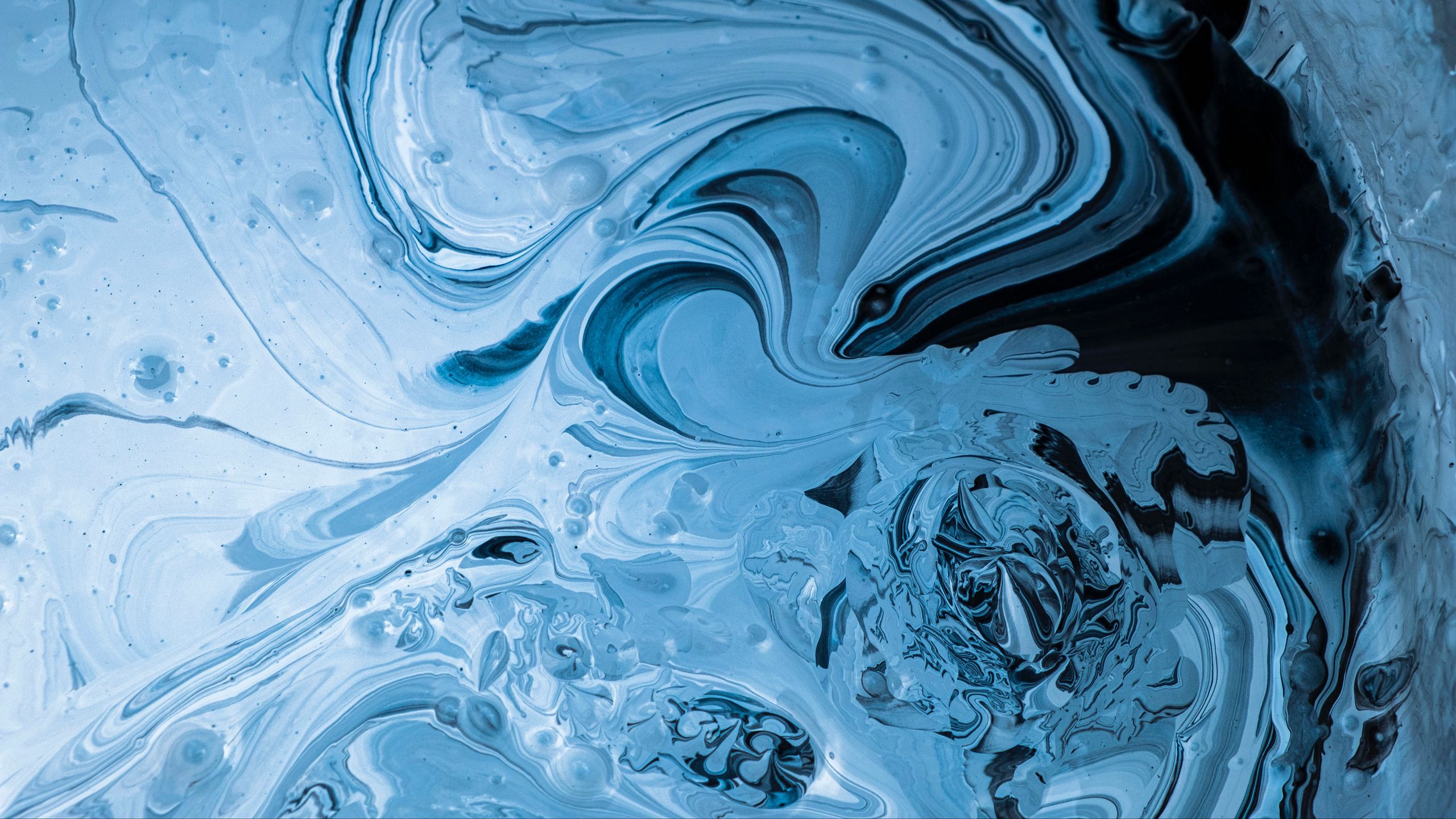 Download wallpaper 2560x1440 paint, stains, fluid art, abstraction ...