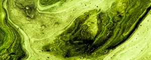 Preview wallpaper paint, stains, fluid art, abstraction, art, green