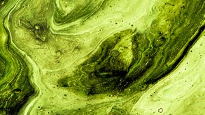 Preview wallpaper paint, stains, fluid art, abstraction, art, green
