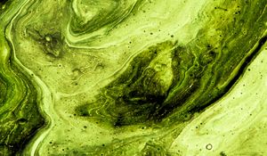 Preview wallpaper paint, stains, fluid art, abstraction, art, green