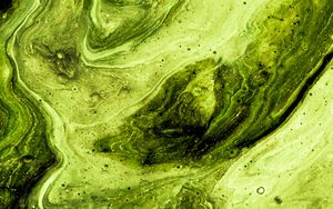 Preview wallpaper paint, stains, fluid art, abstraction, art, green