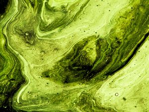 Preview wallpaper paint, stains, fluid art, abstraction, art, green