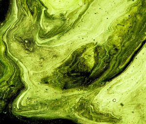 Preview wallpaper paint, stains, fluid art, abstraction, art, green