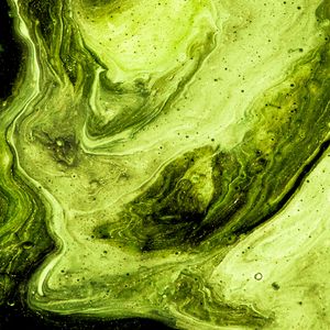 Preview wallpaper paint, stains, fluid art, abstraction, art, green