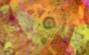 Preview wallpaper paint, stains, spots, paper, colorful, wet
