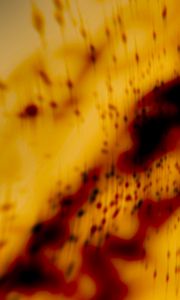 Preview wallpaper paint, stains, spots, blur, abstraction
