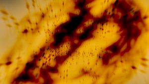 Preview wallpaper paint, stains, spots, blur, abstraction