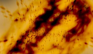 Preview wallpaper paint, stains, spots, blur, abstraction