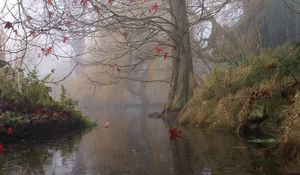 Preview wallpaper painting, art, trees, lake, leaves, shrubs, fog