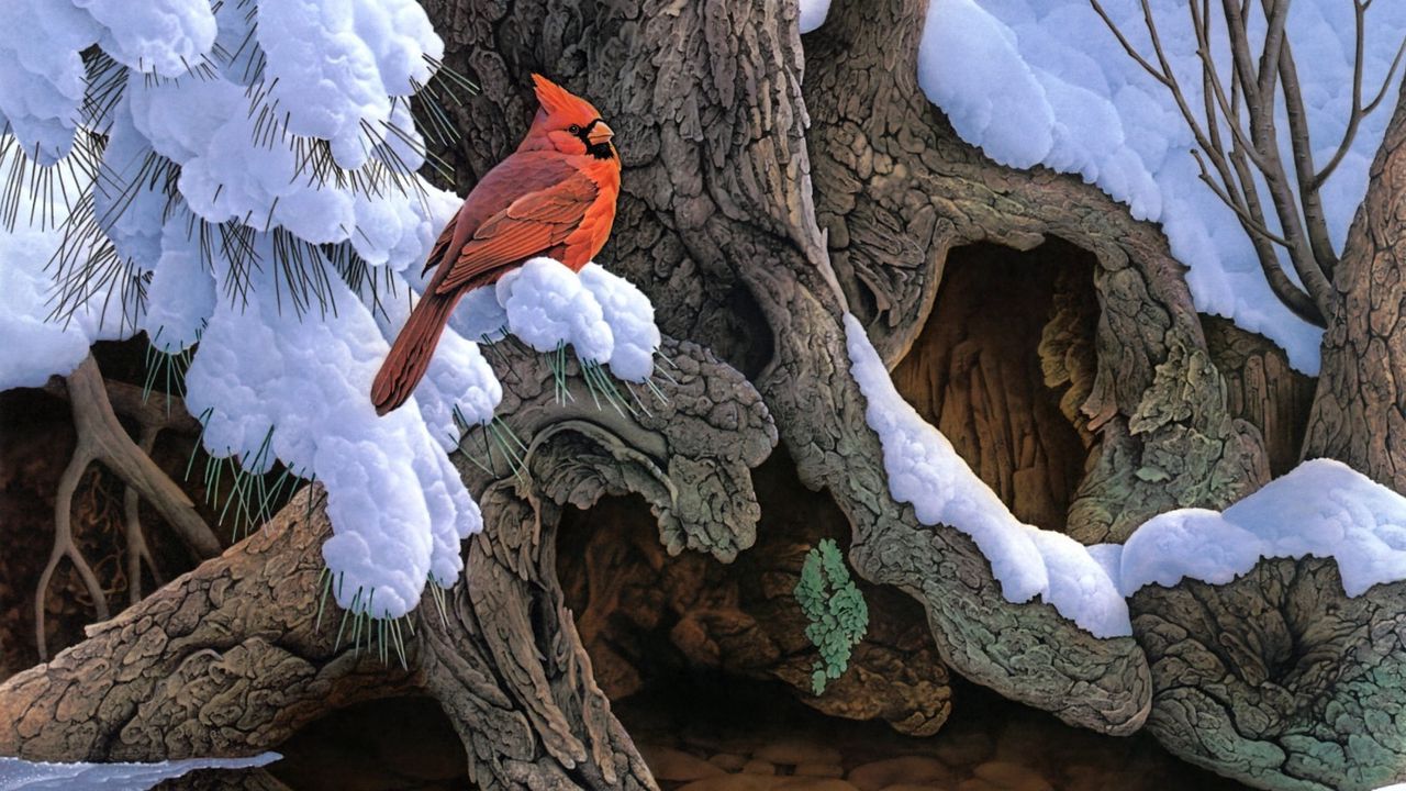 Wallpaper painting, snow, winter, tree, bird, cardinal