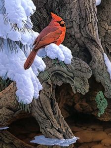 Preview wallpaper painting, snow, winter, tree, bird, cardinal