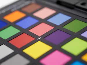 Preview wallpaper palette, shadows, cosmetics, colorful