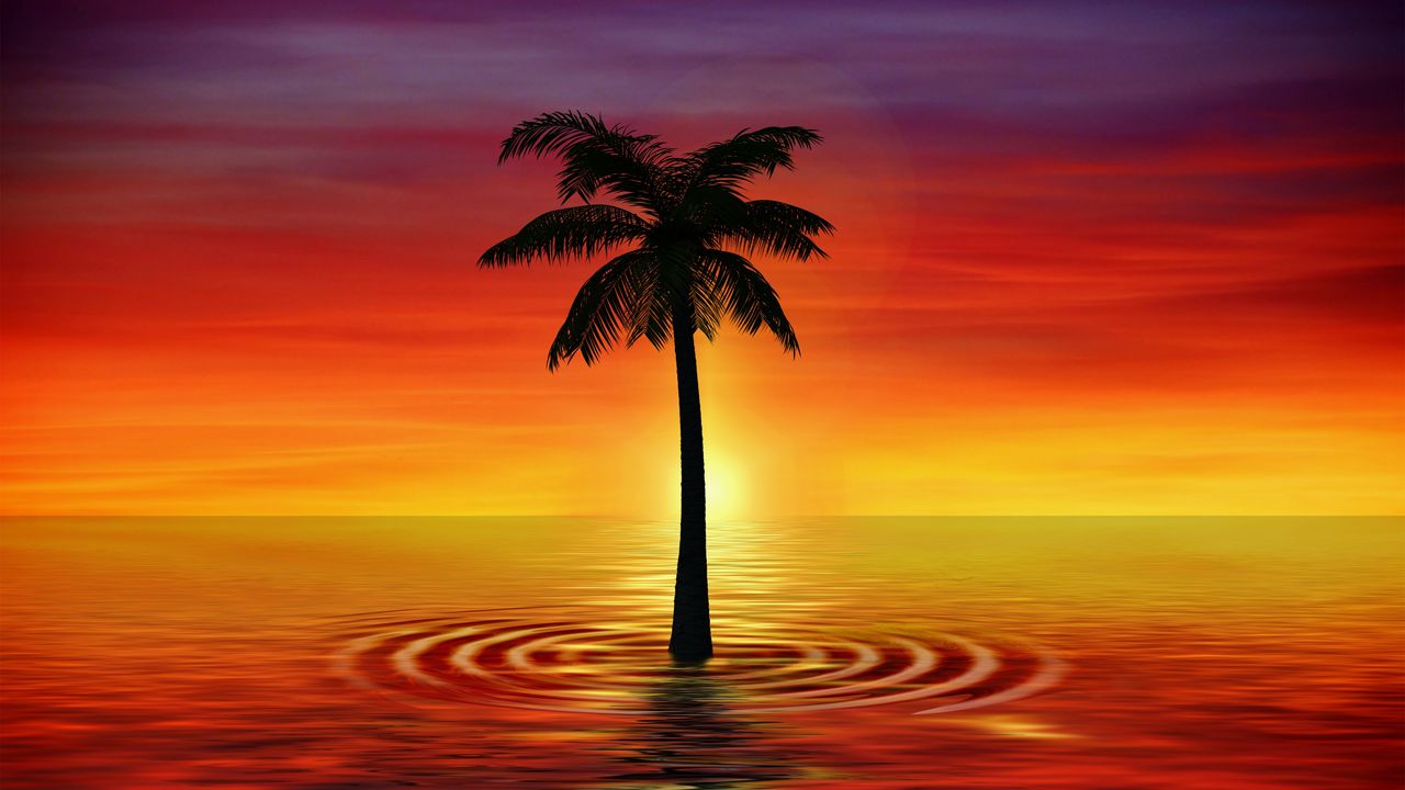 Wallpaper palm, art, twilight, sea
