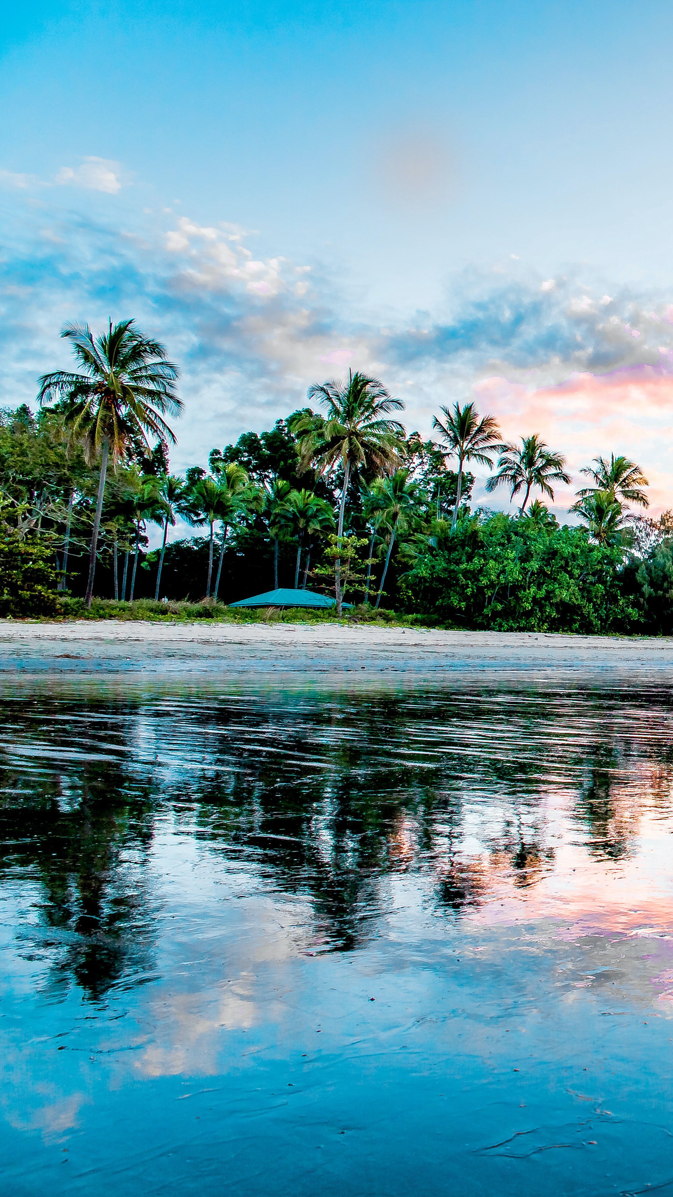 2160x3840 Wallpaper palm, beach, coast, sea, reflection