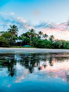 Preview wallpaper palm, beach, coast, sea, reflection