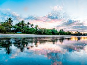 Preview wallpaper palm, beach, coast, sea, reflection