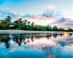 Preview wallpaper palm, beach, coast, sea, reflection