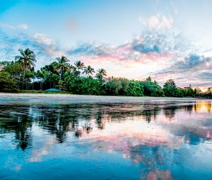 Preview wallpaper palm, beach, coast, sea, reflection