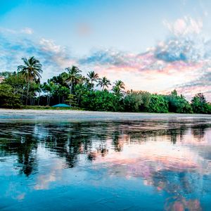 Preview wallpaper palm, beach, coast, sea, reflection