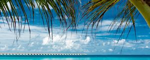 Preview wallpaper palm, beach, ocean, tropics, coast
