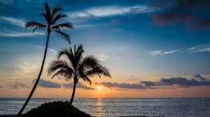 Preview wallpaper palm, beach, sunset, sea