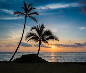 Preview wallpaper palm, beach, sunset, sea