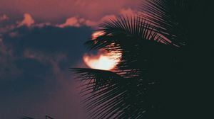 Preview wallpaper palm, branch, sunset, sun, sky, clouds