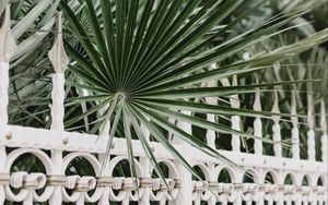 Preview wallpaper palm, branches, fence, forged, metal