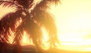 Preview wallpaper palm, branches, leaves, sunset, light, bright