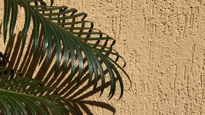 Preview wallpaper palm, branches, leaves, wall, beige