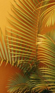 Preview wallpaper palm, branches, plant, wall, orange