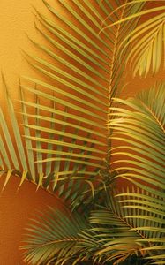 Preview wallpaper palm, branches, plant, wall, orange