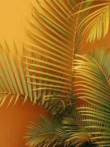 Preview wallpaper palm, branches, plant, wall, orange