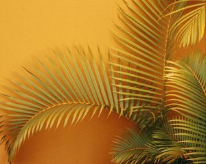 Preview wallpaper palm, branches, plant, wall, orange