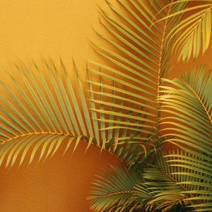 Preview wallpaper palm, branches, plant, wall, orange