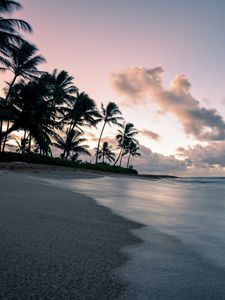 Preview wallpaper palm, coast, beach, dusk