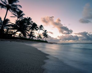 Preview wallpaper palm, coast, beach, dusk
