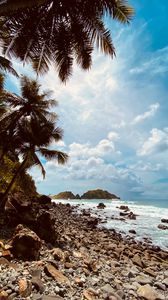 Preview wallpaper palm, coast, stones, sea, mountains