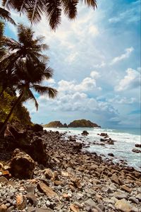 Preview wallpaper palm, coast, stones, sea, mountains