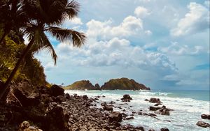 Preview wallpaper palm, coast, stones, sea, mountains