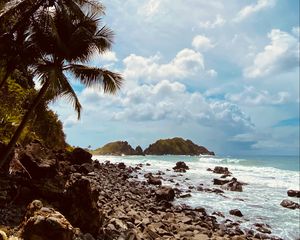 Preview wallpaper palm, coast, stones, sea, mountains