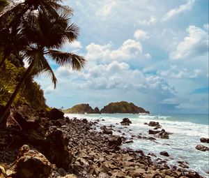 Preview wallpaper palm, coast, stones, sea, mountains