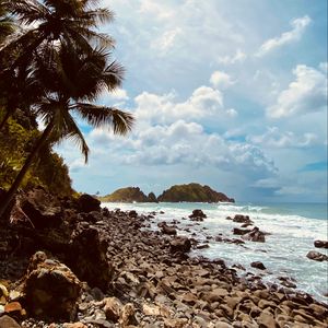 Preview wallpaper palm, coast, stones, sea, mountains