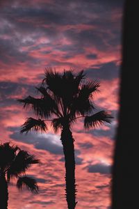 Preview wallpaper palm, dark, clouds, pink, dusk