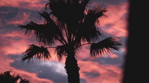 Preview wallpaper palm, dark, clouds, pink, dusk