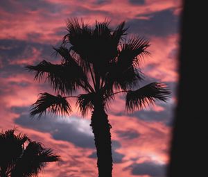 Preview wallpaper palm, dark, clouds, pink, dusk