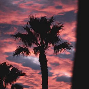 Preview wallpaper palm, dark, clouds, pink, dusk