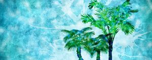 Preview wallpaper palm, drop, drawing, surface, mood