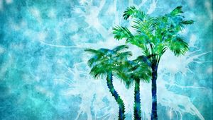 Preview wallpaper palm, drop, drawing, surface, mood