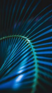 Preview wallpaper palm leaf, leaf, stripes, macro, blue
